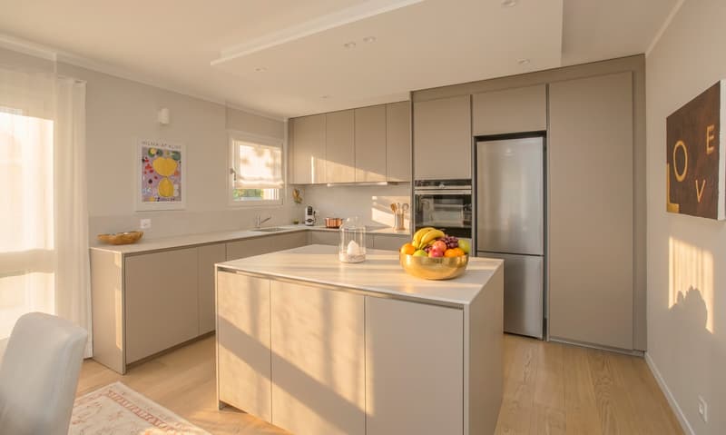 Wonderful and modern 3.5-room apartment with beautiful terrace in Vezia (3)