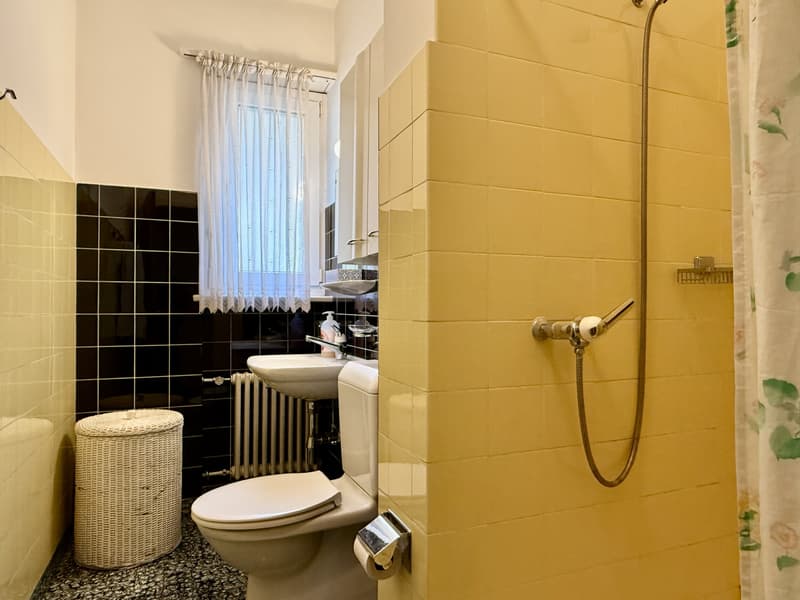 APPARTEMENT SPACIEUX 4.5 PIÈCES DANS UN EMPLACEMENT STRATÉGIQUE À MENDRISIO (9)