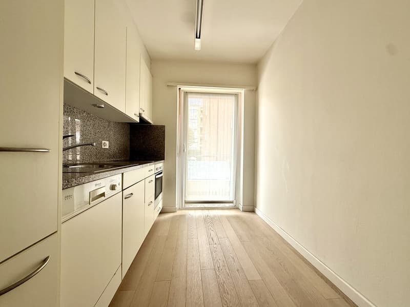 Mietwohnung 3.5 Zimmer mit 2 Terrassen in Viganello (4)