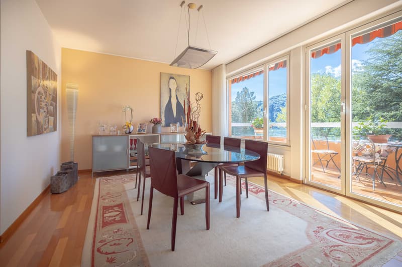 GELEGENHEIT - HELLES 3.5-ZIMMER-WOHNUNG MIT BERICHTENSWERTER SEESICHT IN BISSONE (2)