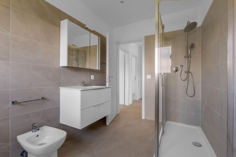 RENT 4.5 rooms renovated in Genestrerio (7)