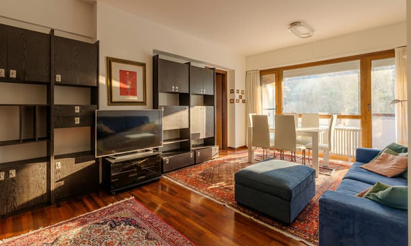 SPLENDID 3.5 ROOM APARTMENT WITH FURNITURE AND TERRACE IN PAZZALLO (2)