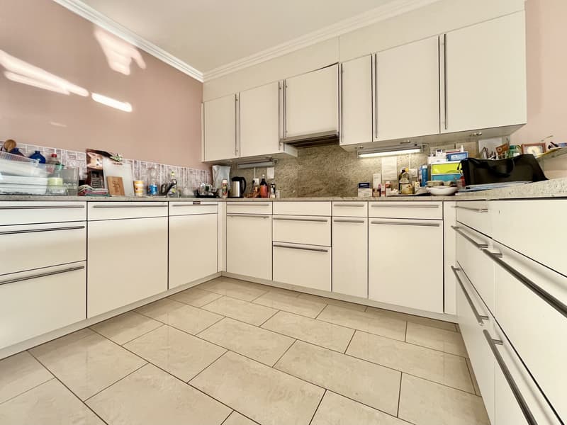 BRIGHT ATTIC 3.5 WITH LARGE ROOF TOP TERRACE IN PREGASSONA (4)