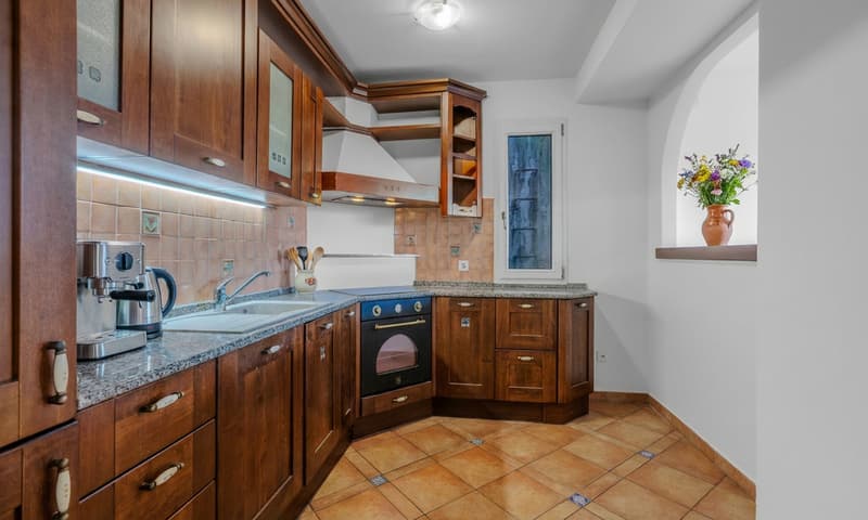GROSSES 2.5-ZIMMER-WOHNUNG MIT BÜRO UND GROßER TERRASSE IN PARADISO (3)