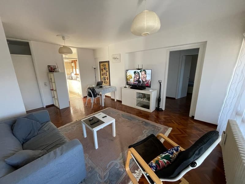EXCELLENT INVESTMENT - BRIGHT 3.5 ROOMS WITH OPEN VIEW OF LUGANO (3)
