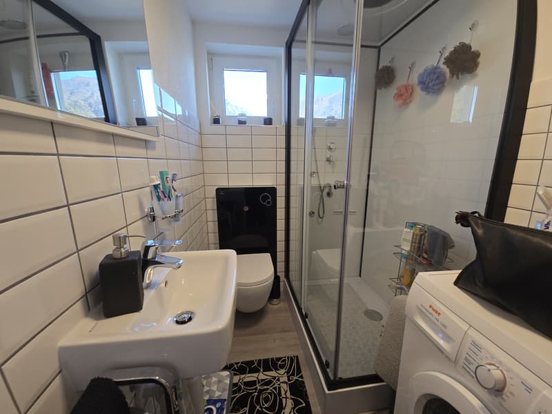 OCCASION - CHARACTERISTIC RUSTIC 3.5 ROOMS IN LOCARNO (8)