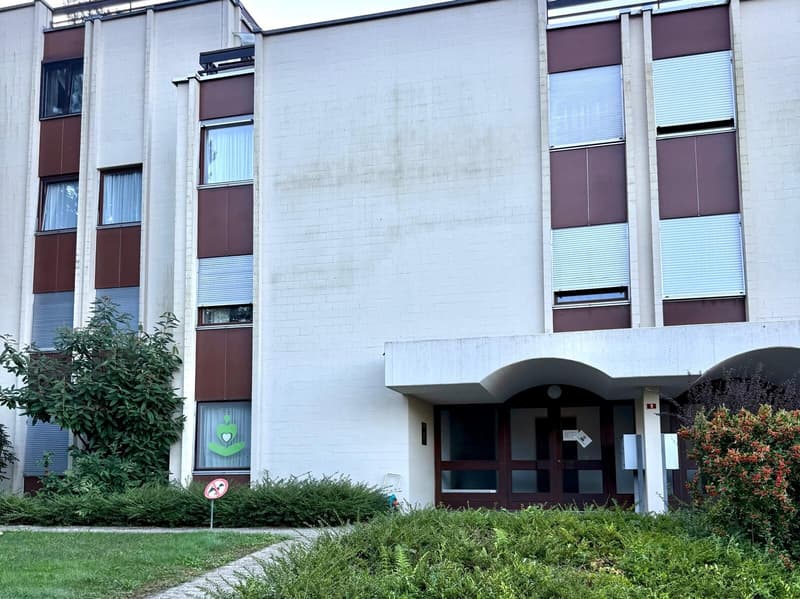 Helliges Zweizimmerapartment mit Seeblick und Pool in Cadro (7)