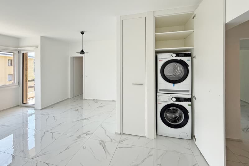 DEAL - Bright 4.5 Room Renovated Apartment with Terrace in Gravesano (6)
