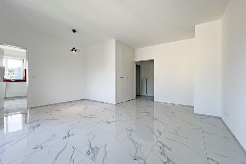 DEAL - Bright 4.5 Room Renovated Apartment with Terrace in Gravesano (1)