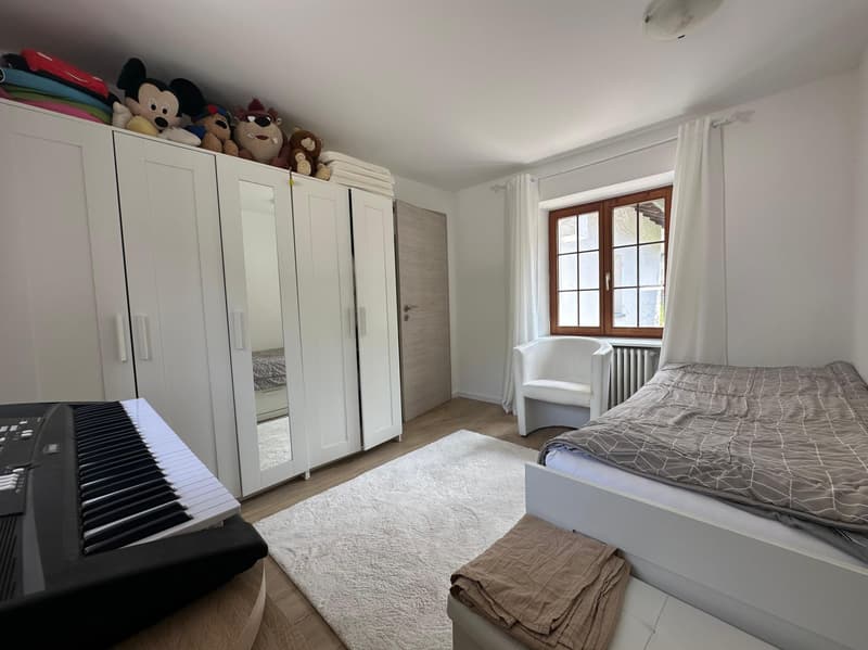 Beautiful 4.5 Charm House with Garden and Pool in Roveredo (8)
