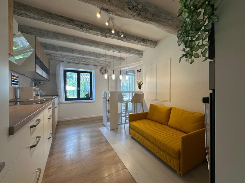 Beautiful 4.5 Charm House with Garden and Pool in Roveredo (5)