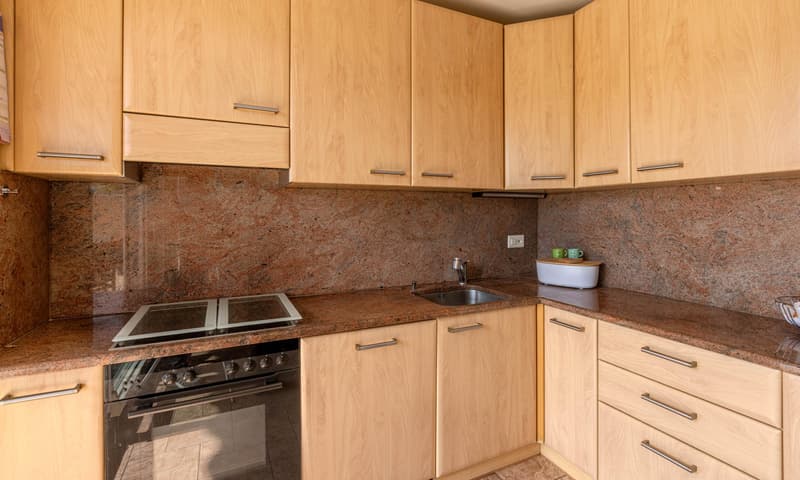 SPACIOUS VILLA 4.5 ROOMS WITH TERRACE, GARDEN AND VIEW OF AGNO (7)
