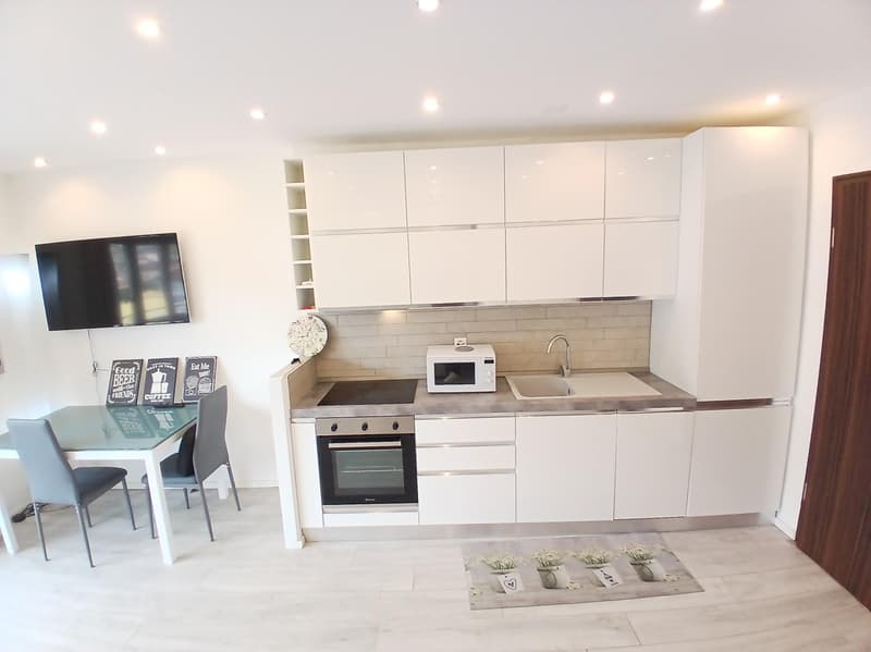 INVESTMENT IDEAL - RENOVATED STUDIO IN AGNO (5)