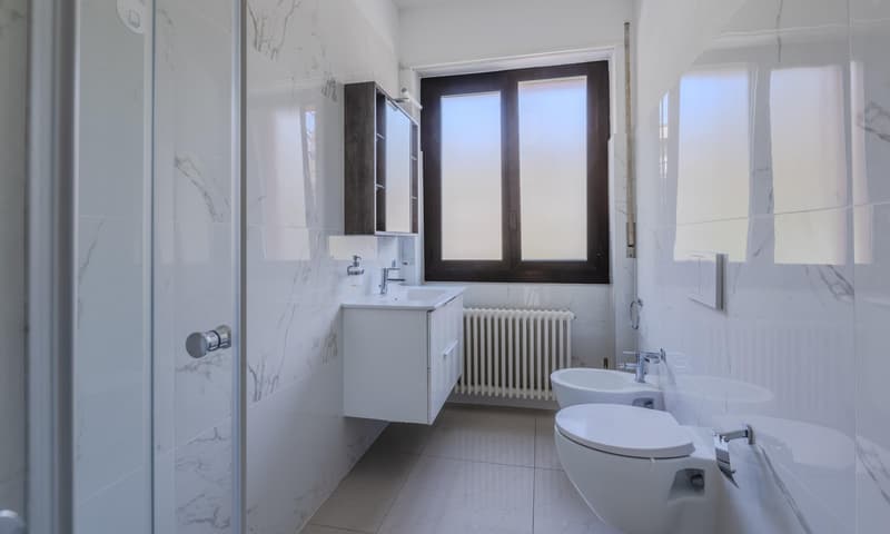 BELLISSIMO 3.5 LOCALI IN ZONA STRATEGICA A LUGANO (8)