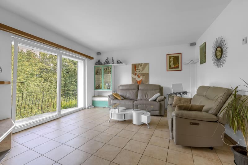 Villa bifamiliale spacieuse 6.5 avec jardin à Carabbia (8)