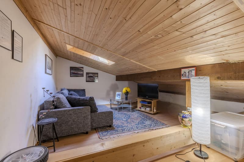 Maison spacieuse et lumineuse de 4,5 pièces avec jardin à Seseglio (9)
