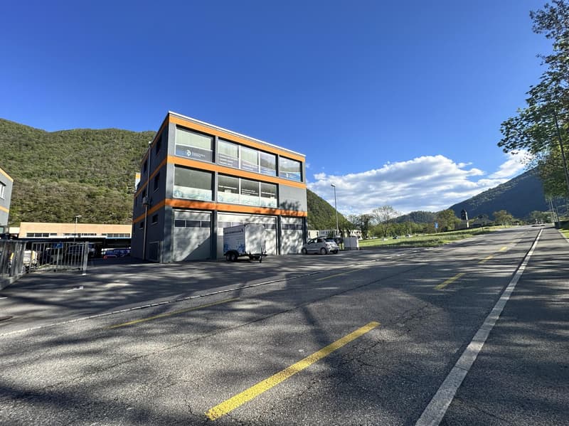 2 New Administrative and Craft Buildings in Mezzovico (7)