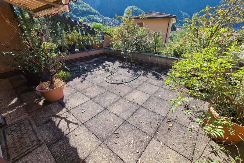 Maison charmante de 5.5 pièces immergée dans le verdure à Melano (5)