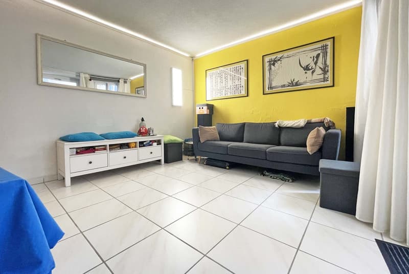 Vaste et typique maison de 5.5 pièces à Riva San Vitale (6)