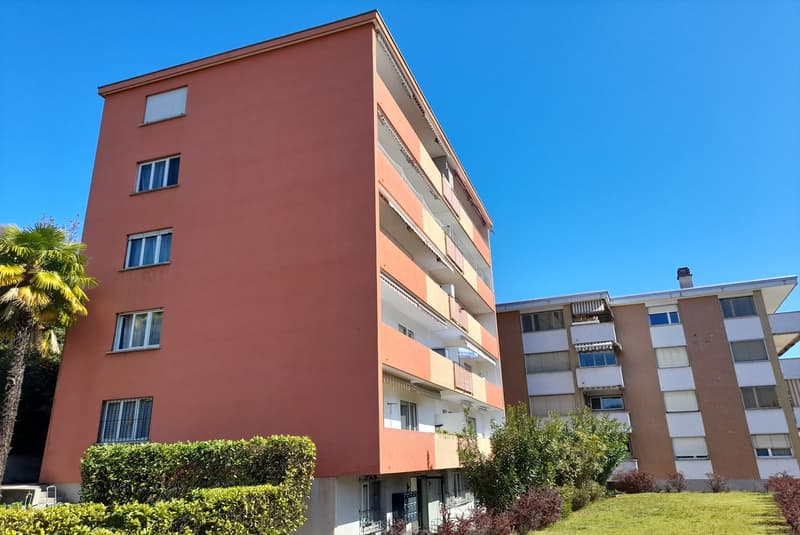 Mieten oder Kaufen - Helles 3.5-Zimmer-Apartment mit Terrasse in Minusio (8)