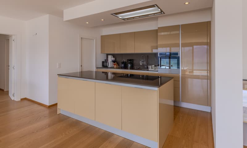 WEITES UND MODERNES 4.5-ZIMMER-WOHNUNG MIT ENORMER TERRASSE UND SEEBLICK IN VERNATE (4)