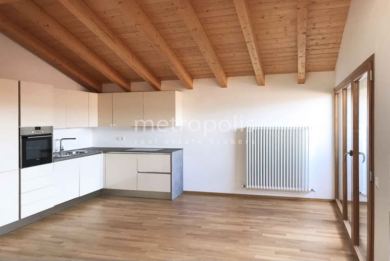 Schönes 3.5-Zimmer-Apartment im letzten Stock in Rancate (1)