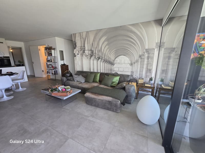 Modern 4.5 room apartment with terrace in Massagno (1)