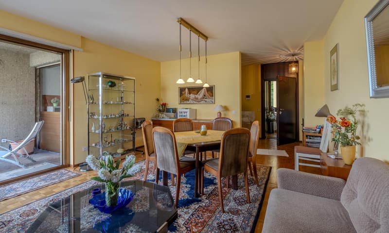 ZAUBERHAFTES 3.5 ZIMMER WOHNUNG MIT SEEBLICK IN LUGANO PARADISO (3)