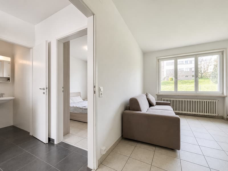 Moderne 2-Zimmer-Wohnung möbliert in Breganzona (5)