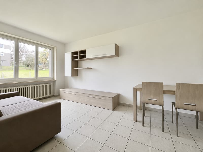 Moderne 2-Zimmer-Wohnung möbliert in Breganzona (3)