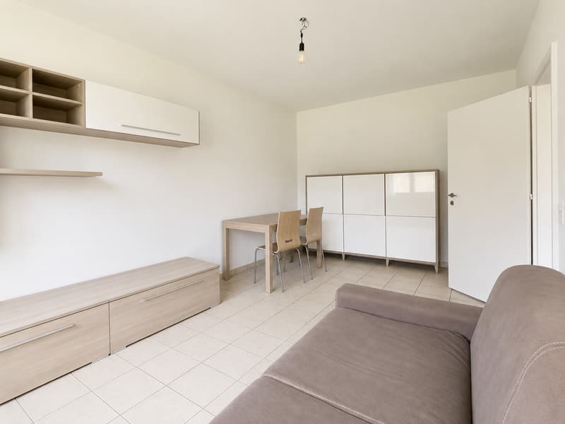 Moderne 2-Zimmer-Wohnung möbliert in Breganzona (4)