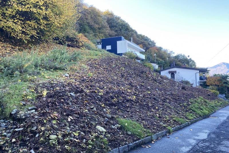 Building plot with lake view in Gerra Gambarogno (4)