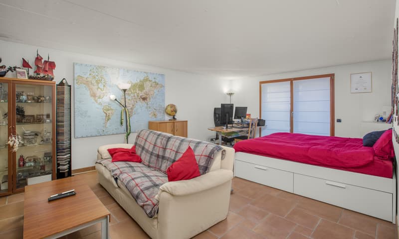 LARGE SINGLE-FAMILY VILLA 5.5 ROOMS WITH POOL IN STABIO (9)