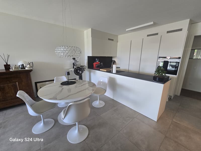 REFINED 4.5-ROOM APARTMENT WITH HIGH STANDING AND TERRACE IN MASSAGNO (3)