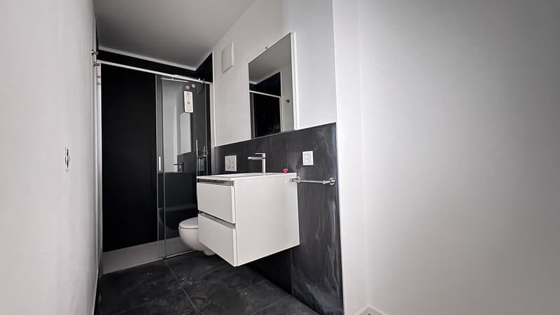 WEITES UND MODERNES 3.5-ZIMMER-WOHNUNG MIT CHARME IN MENDRISIO ZENTRUM (7)