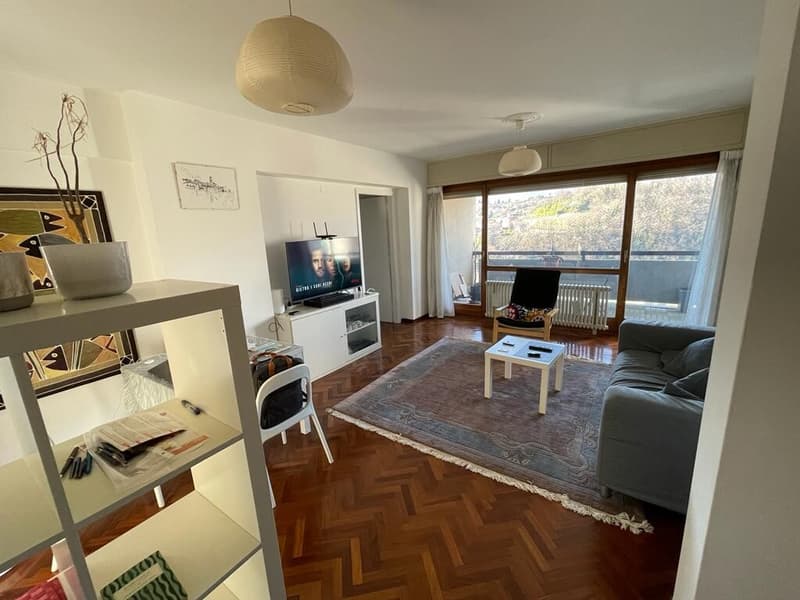 INVESTISSEMENT - APPARTEMENT CONFORTABLE 3.5 PIÈCES AVEC VUE DÉGAGÉE SUR LUGANO (2)