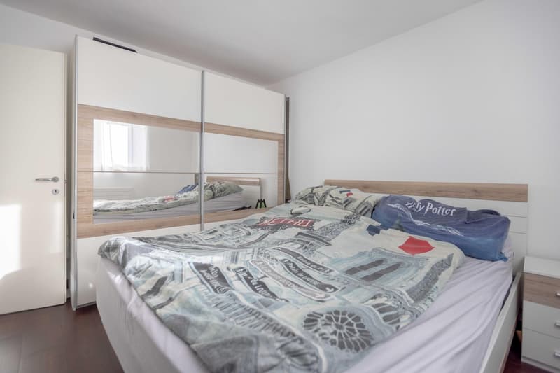 Appartement spacieux et charmant 2.5 pièces avec jardinette à Davesco Soragno (5)