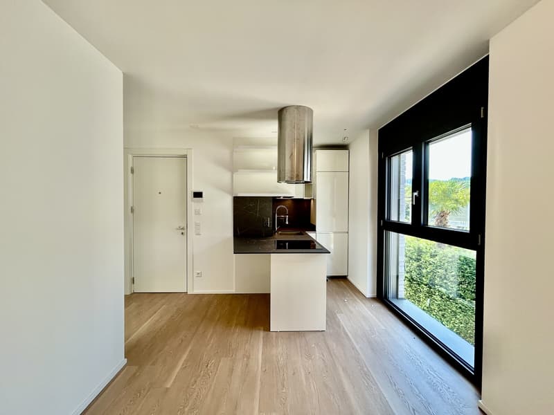 Mietet man ein gemütliches und modernes 1.5-Zimmer-Apartment in Novazzano (1)