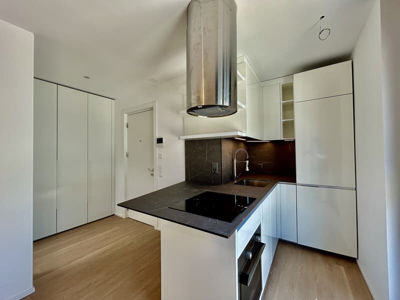 Mietet man ein gemütliches und modernes 1.5-Zimmer-Apartment in Novazzano (4)