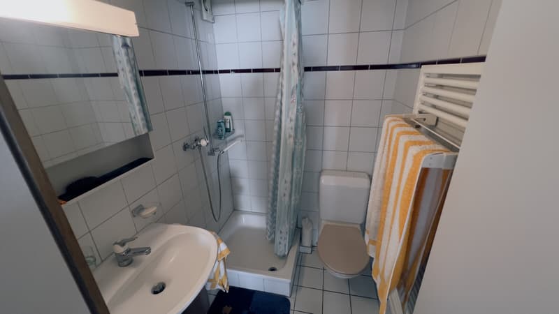 SECONDARY RESIDENCE - 3.5 ROOMS WITH TERRACE IN ASTANO (8)