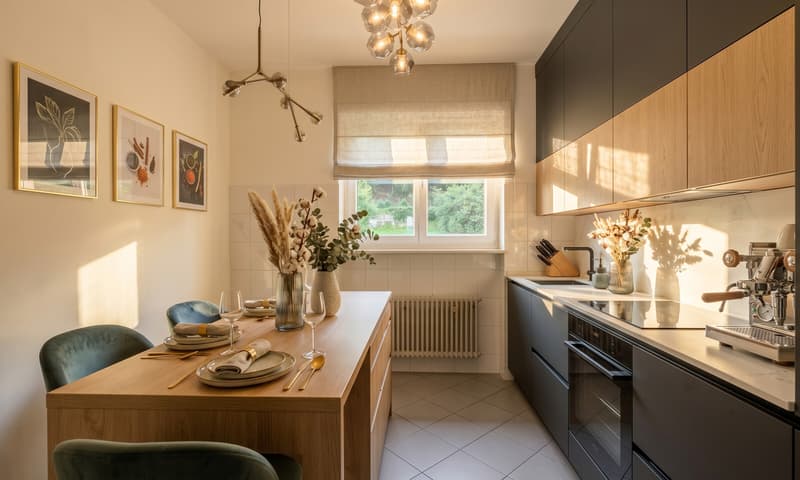 LOUER ACHAT - ESPACEUX 4.5 PIÈCES DANS UN QUARTIER CONVENABLE À MENDRISIO (4)