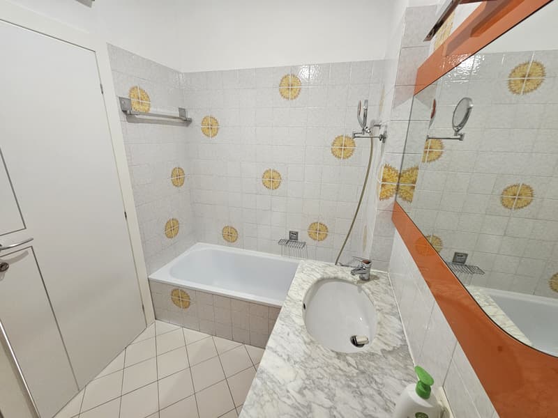 Mietwohnung, renoviertes 2.5-Zimmer-Appartement mit Seeblick (8)