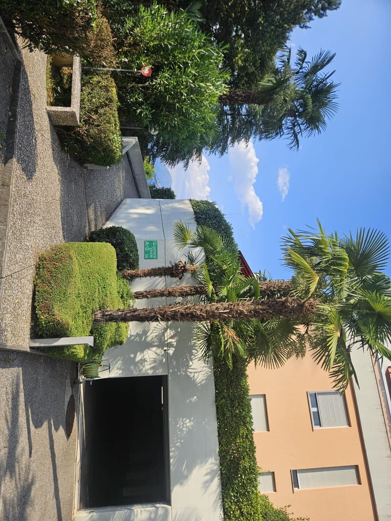 Mietwohnung, renoviertes 2.5-Zimmer-Appartement mit Seeblick (9)