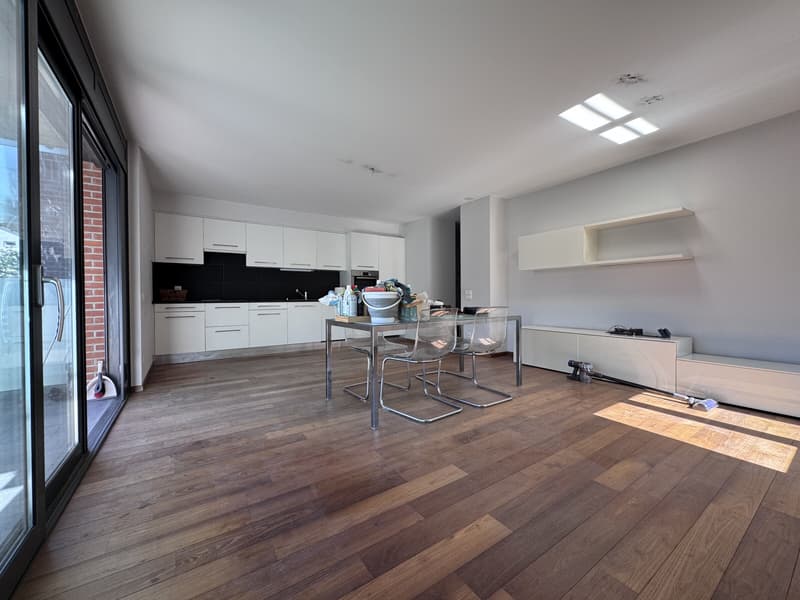 AMPIO 4.5 LOCALI CON TERRAZZA E POSTEGGI A LUGANO-PREGASSONA (5)
