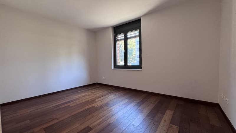 AMPIO 4.5 LOCALI CON TERRAZZA E POSTEGGI A LUGANO-PREGASSONA (7)