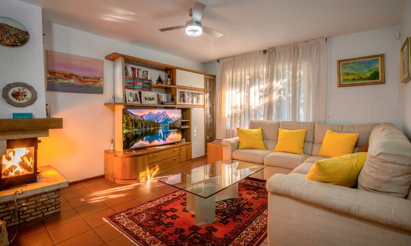 Elegant and Bright 7.5-Room House with Garden in Agno (3)