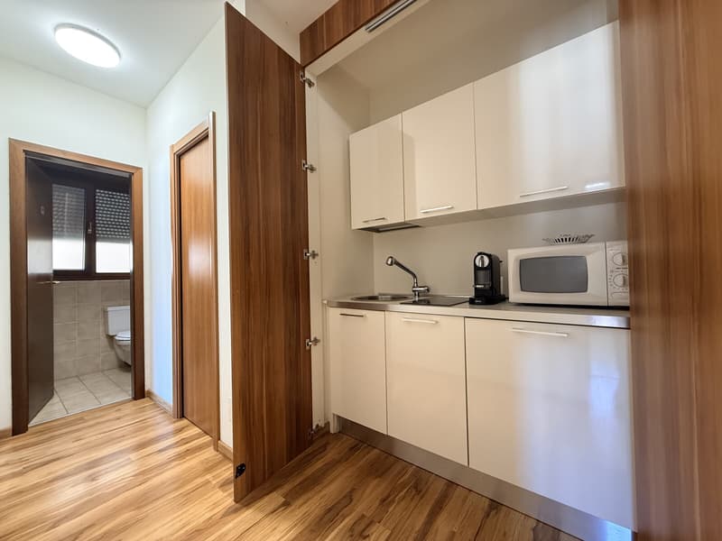 Office for Rent, 2 Rooms in Lugano City Center (7)