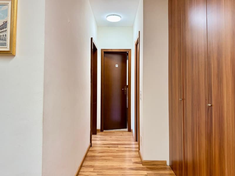 Office for Rent, 2 Rooms in Lugano City Center (8)