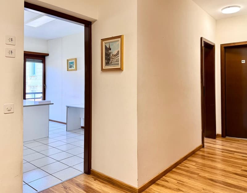 Office for Rent, 2 Rooms in Lugano City Center (6)