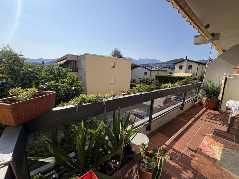 Charming 3.5-room apartment with terrace and garden in Pregassona (8)